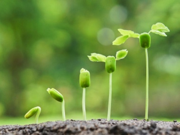 Chúng ta lớn lên, trưởng thành hơn qua những vấp váp, những khó khăn, những thất bại, và cả những lựa chọn sai.