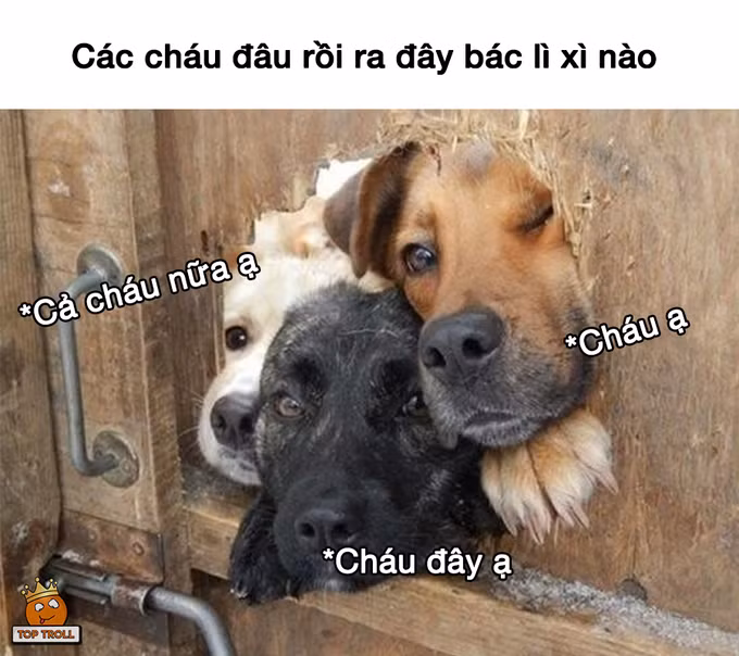 Lì xì luôn trở thành vấn đề "nóng bỏng" đối với cả người lớn và trẻ nhỏ.
