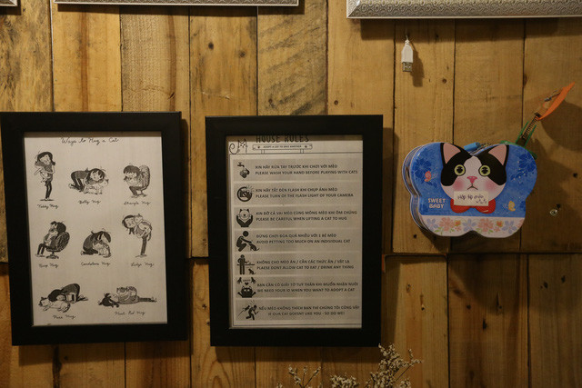 Khách đến uống cà phê có thể bỏ tiền vào hộp dành tặng chú mèo yêu thích.