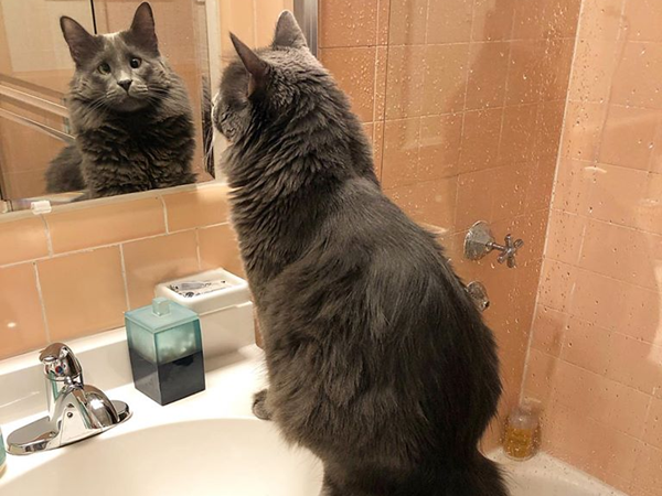 Giờ thì Belarus đã có một gia đình ấm áp rồi!