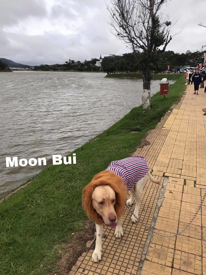 Nhìn tấm này thấy hài và cưng hết sức.