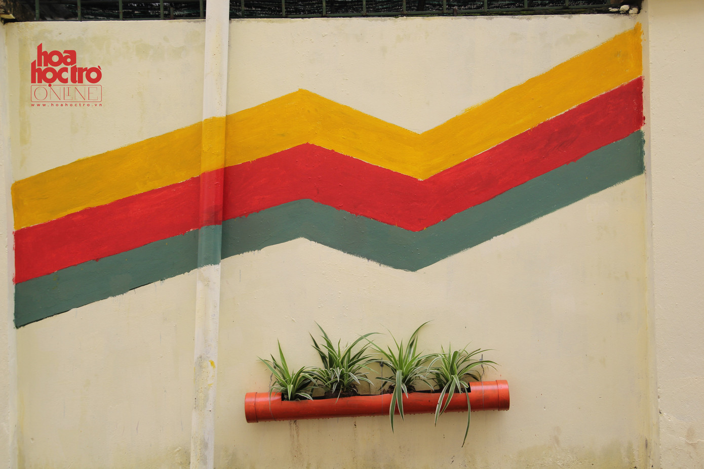 Ai cũng thích thú với bức tường bỗng... nở hoa ở Học viện Báo chí và Tuyên truyền ảnh 1 Ai cũng thích thú với bức tường bỗng... nở hoa ở Học viện Báo chí và Tuyên truyền ảnh 1