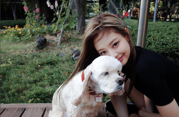 Cũng vì xưa nay chẳng ai nghĩ đến chuyện đẩy thuyền Kai - Jennie nên ngay cả khi Jennie đặt tên cún cưng là Kai, thì không một ai thắc mắc gì cả. Jennie có thể tha hồ ôm ấp nựng nịu “Kai” công khai trên Instagram mà còn được fan thả tim nữa ấy chứ.