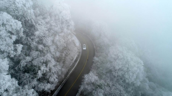 Tuyết phủ kín các ngọn cây của một khu rừng ở Quý Châu.