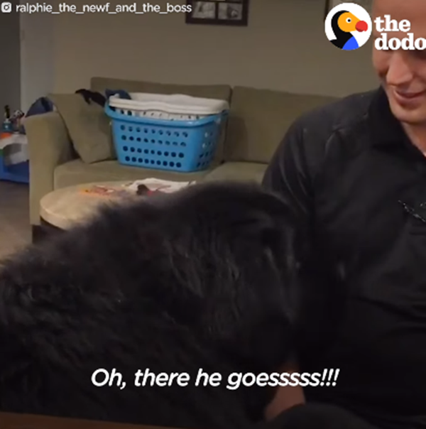 Còn đây là màn làm nũng siêu cấp.