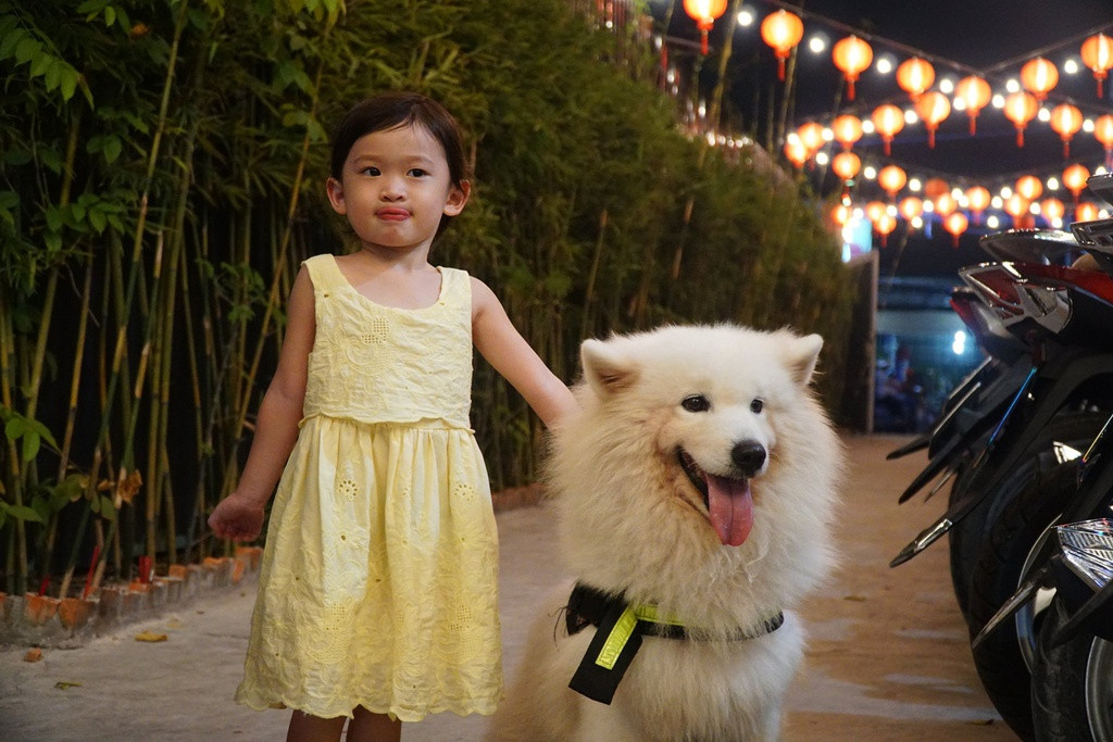 Ảnh: Pet Coffee Garden.