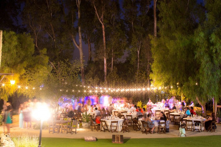 Toàn cảnh lễ cưới của cặp đôi.