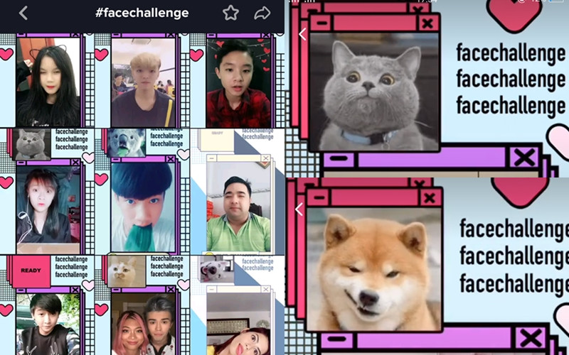 #FaceChallenge đang khiến teen "chao đảo", bạn đã thử chưa? #FaceChallenge đang khiến teen "chao đảo", bạn đã thử chưa?