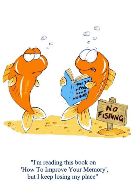 "Tui đang đọc sách "Làm sao để cải thiện trí nhớ", nhưng cứ quên mất đọc tới đoạn nào rồi".
