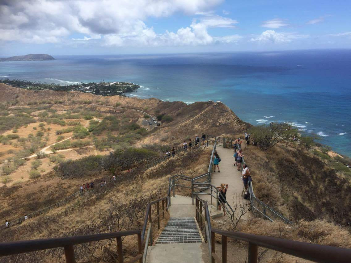 Cỏ úa nhuộm vàng trên những sườn đồi.