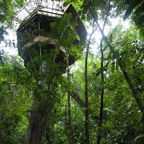 Nhà nghỉ trên cây Finca Bellavista, Costa Rica. Nằm trong một công viên quốc gia, khu nghỉ mát đặc biệt này giúp bạn rời xa thế giới bên ngoài và kết nối với thiên nhiên bằng cách lưu trú tại một trong những ngôi nhà trên cây.
