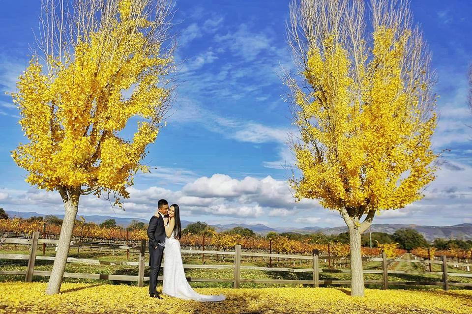 Bộ ảnh đơn giản của Tuấn Hưng, Hương Baby được thực hiện tại Mỹ trong khung cảnh thiên nhiên ngập tràn màu sắc của cây lá vàng.