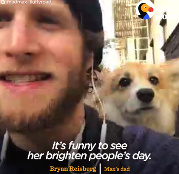Max cùng bố Bryan Reisberg hàng ngày đi làm.