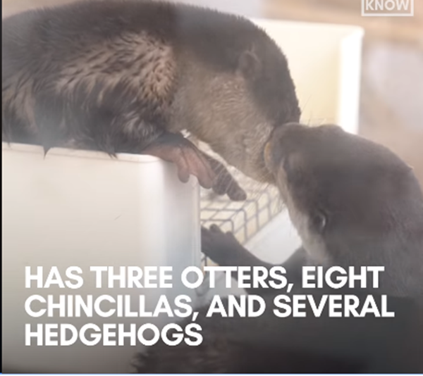 Tự do trao nhau những nụ hôn nồng nàn mặc kệ khách có quan sát hay không.