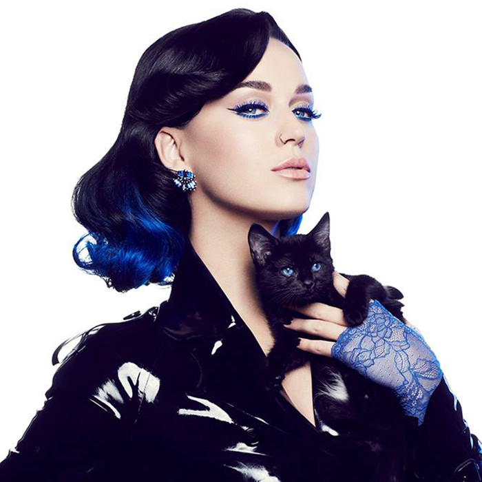 Katy Perry "dội bom" fan với thông tin về ca khúc mới ảnh 1