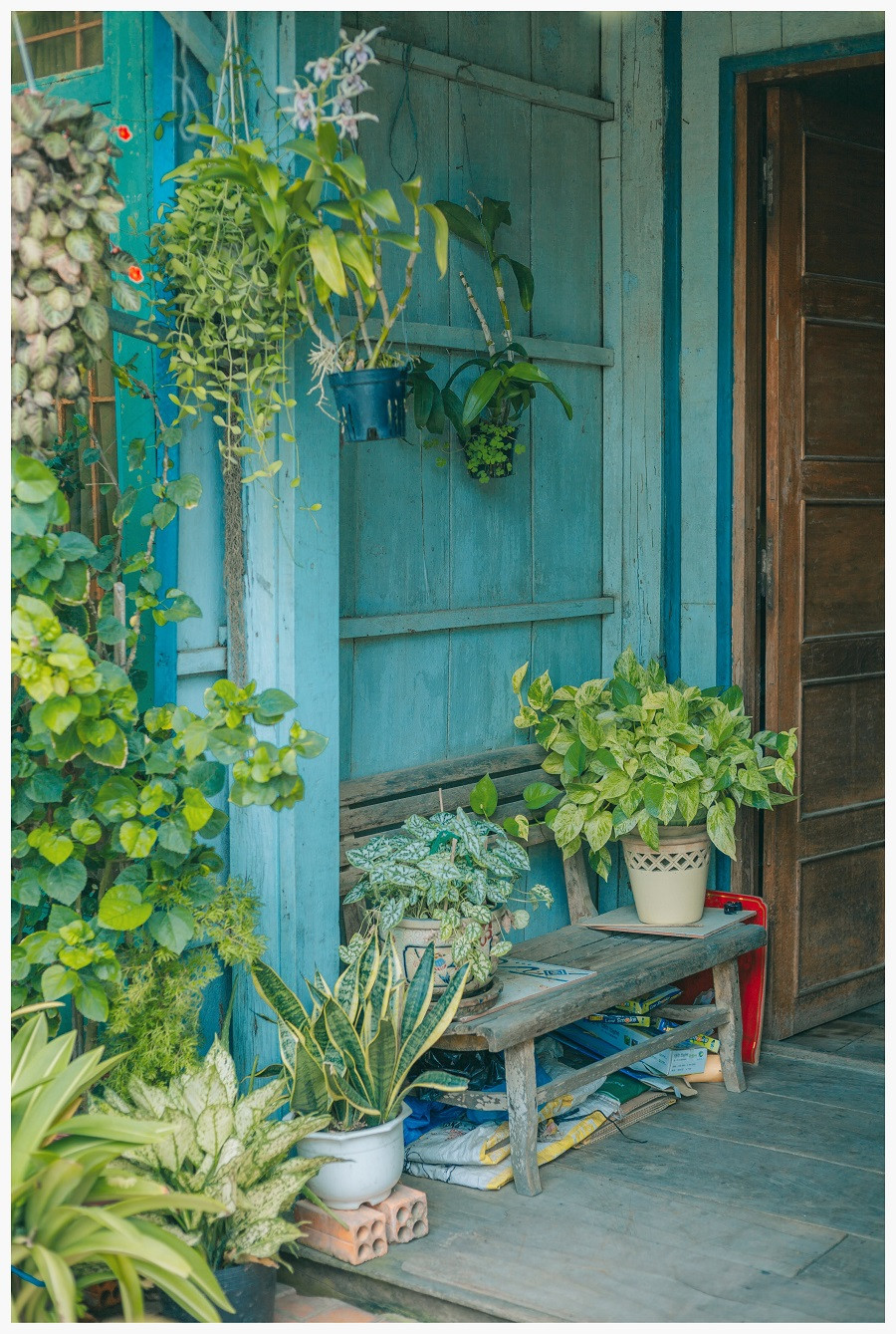 Nhiều bạn còn bình luận rằng căn nhà này khiến các bạn ấy nhớ lại nhà của ông bà mình, không hiện đại nhưng rất thoải mái.