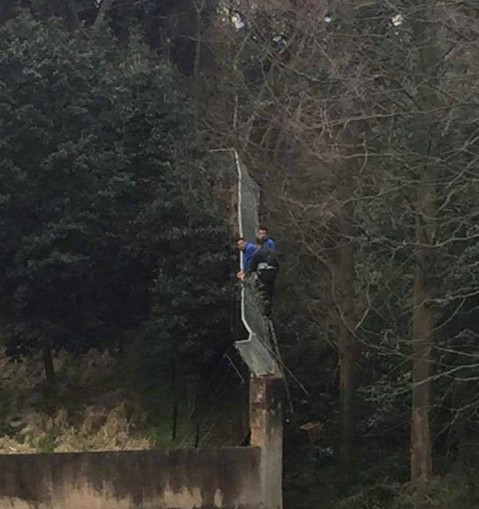 Du khách Trung Quốc trèo tường vào vườn thú để trốn tiền vé, nhưng bị hổ tấn công tới chết