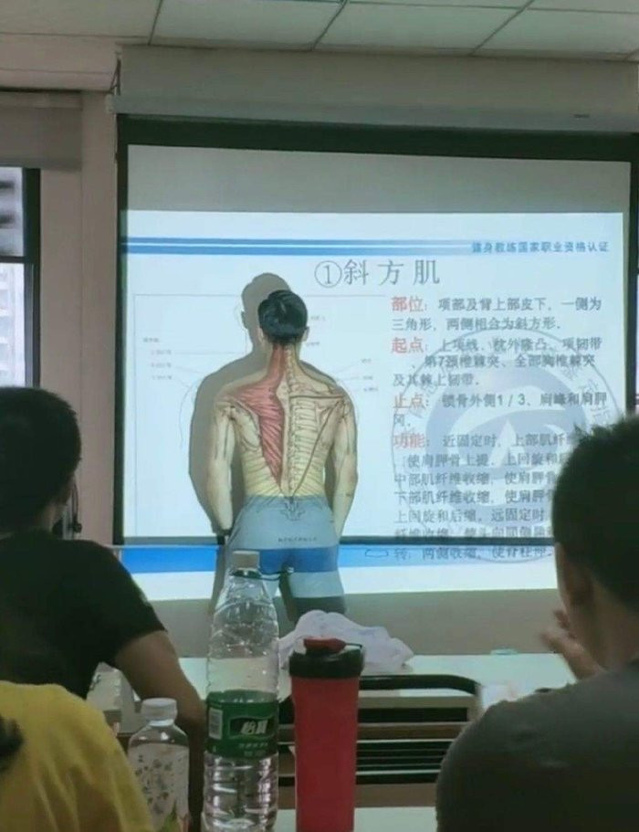 Các nhóm cơ trên chính cơ thể người thầy được chiếu lên máy chiếu.