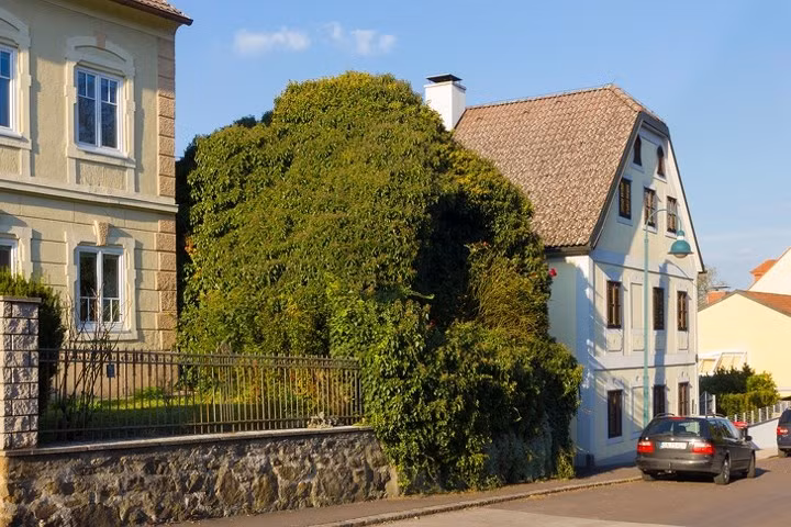 Nhà cây ở Linz, Áo.
