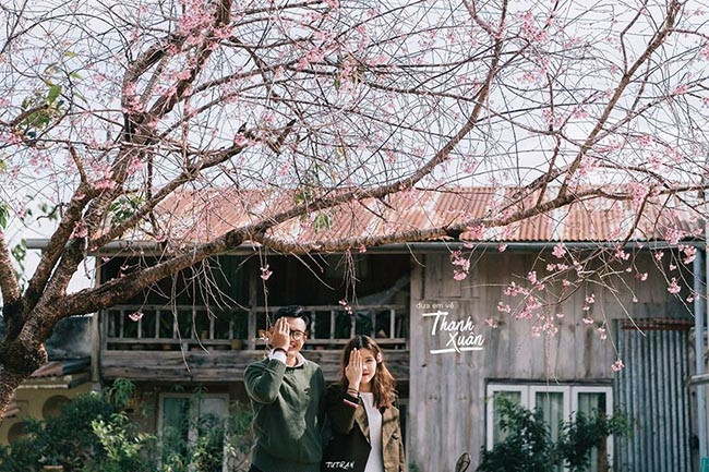 Nhiều bạn trẻ hay tận dụng những khoẳnh khắc thế này để chụp hình lưu giữ kỉ niệm. (Ảnh: Tú Trần)