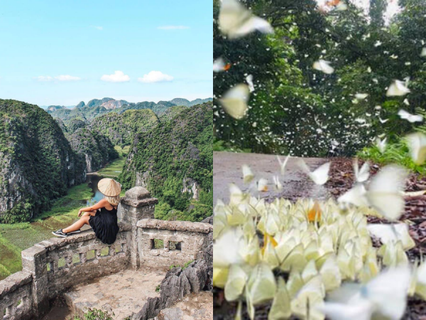 Đẹp lụy tim con đường gỗ giữa cánh đồng sen đang nở rộ ở Hang Múa (Ninh Bình) ảnh 11 Đẹp lụy tim con đường gỗ giữa cánh đồng sen đang nở rộ ở Hang Múa (Ninh Bình) ảnh 11