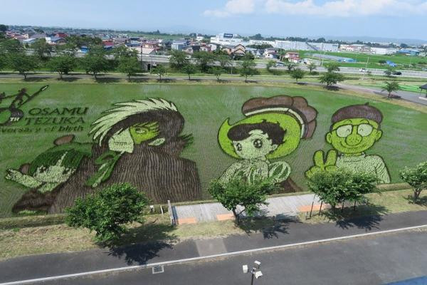 Khi đạt được màu sắc rõ nét, mọi người có thể đến tham quan và chụp ảnh. Khi đạt được màu sắc rõ nét, mọi người có thể đến tham quan và chụp ảnh.