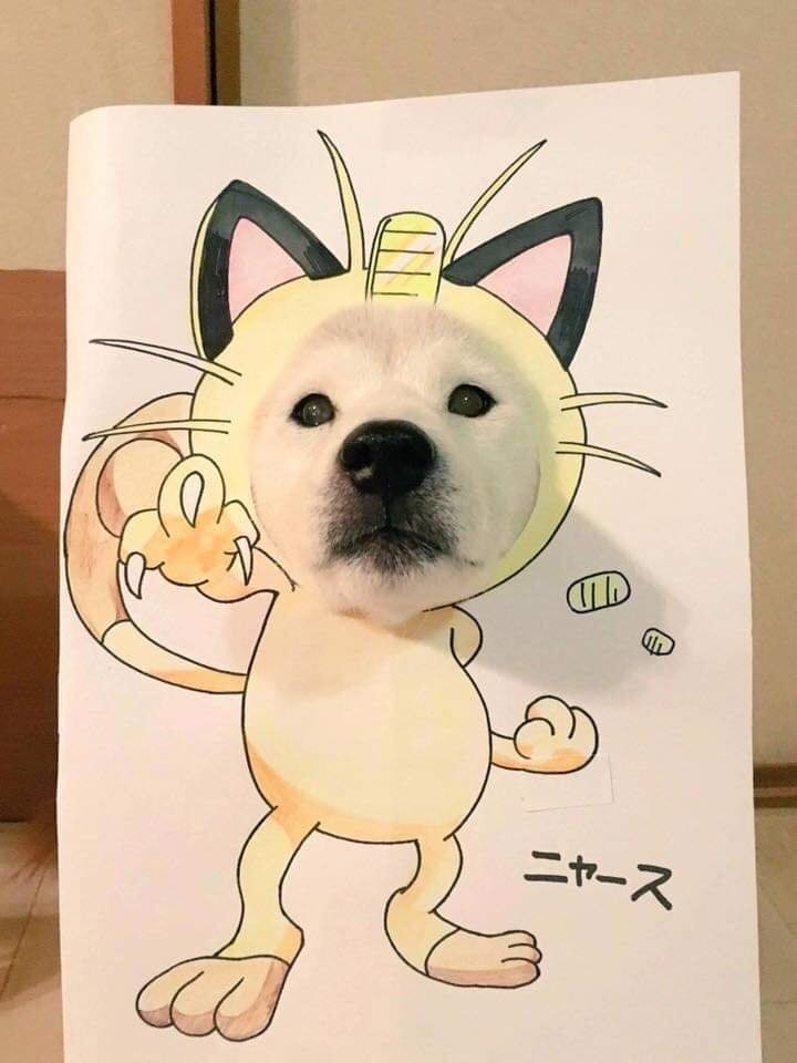 Meo, meo... Ngầu chưa!