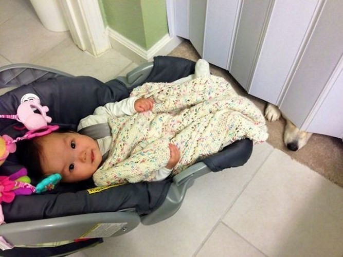 Tớ chỉ muốn gần bạn bé một chút thôi mà.