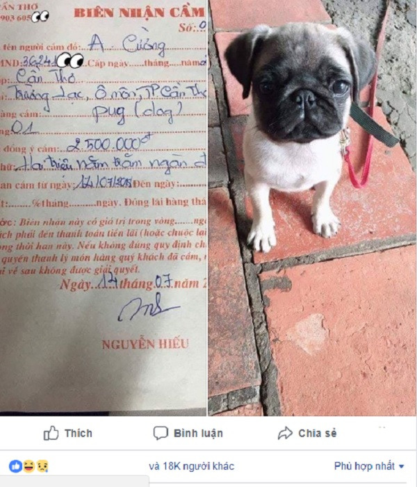 Bức ảnh chú chó cưng được chủ nhân đăng tải kèm theo tờ cầm cố với giá 2,5 triệu đồng khiến cộng đồng mạng bàn tán xôn xao.