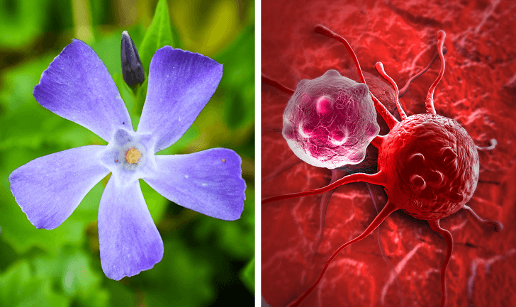  © depositphotos.com