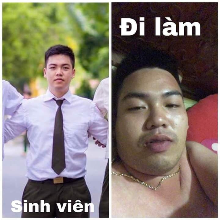 Thời sinh viên bảnh trai bao nhiêu thì khi đi làm phai tàn bấy nhiêu.