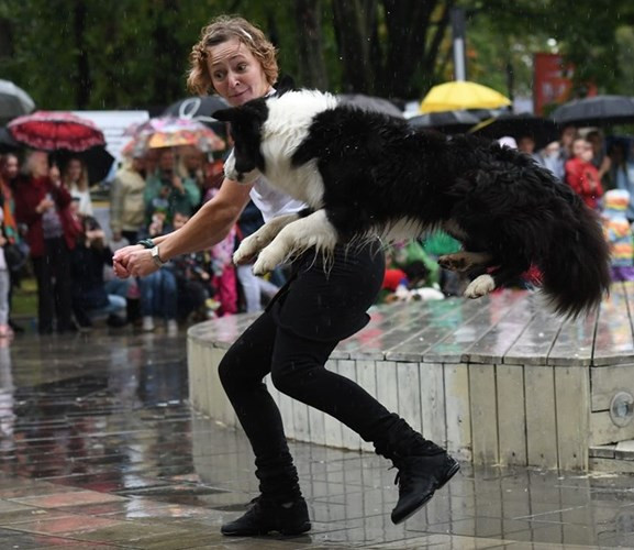 Lễ hội thú cưng thu hút sự chú ý của nhiều người yêu động vật tại Moscow.