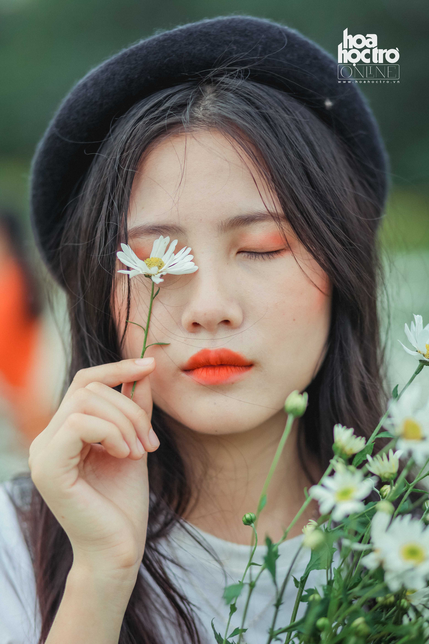 Đông chưa về, nhưng cúc họa mi đã len lỏi khắp phố phường Hà Nội! ảnh 9