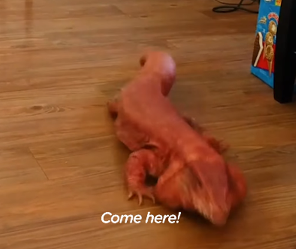 Bạn có thấy tôi ngoan không nào?