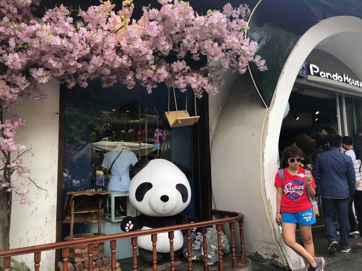 Xin chào anh bạn Gấu trúc!