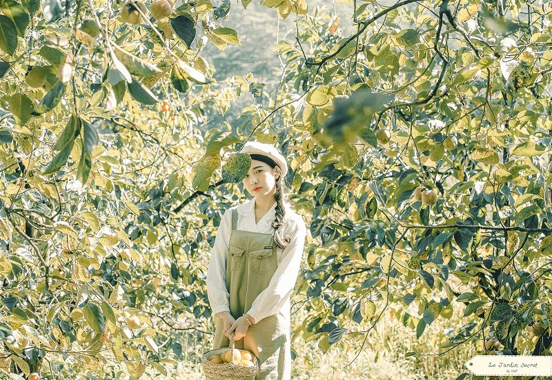 Tha hồ "sống ảo" giữa vườn hồng. (Ảnh: Nguyễn Thế Vinh)