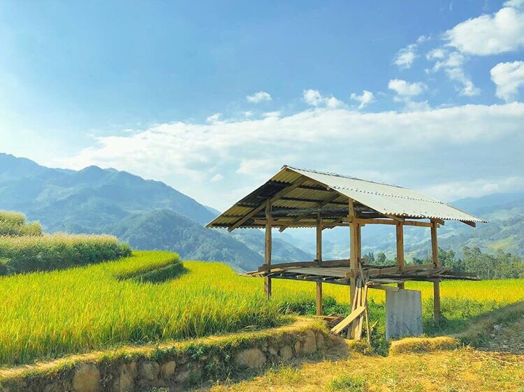 Ảnh: tranthephuong.