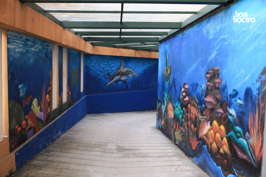 Hai bức tường vốn đơn điệu nay đã trở nên đầy màu sắc.