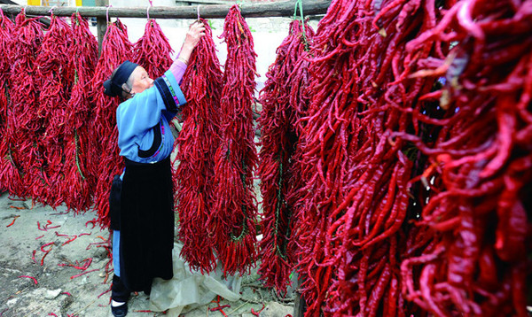 Người dân ở thị trấn Xiazi ăn ớt như ăn cơm uống nước hàng ngày. Người dân ở thị trấn Xiazi ăn ớt như ăn cơm uống nước hàng ngày.