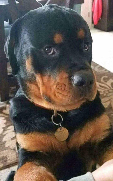 “Có mỗi cái điện thoại mà ki bo thế nhỉ!”.