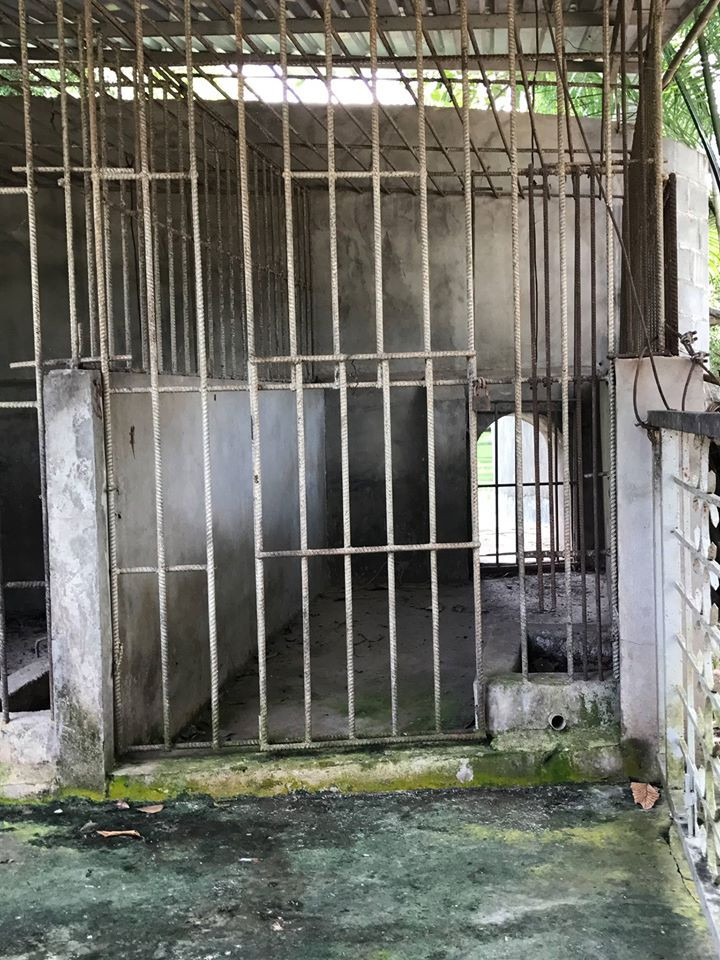 Một ô chuồng nuôi gấu.