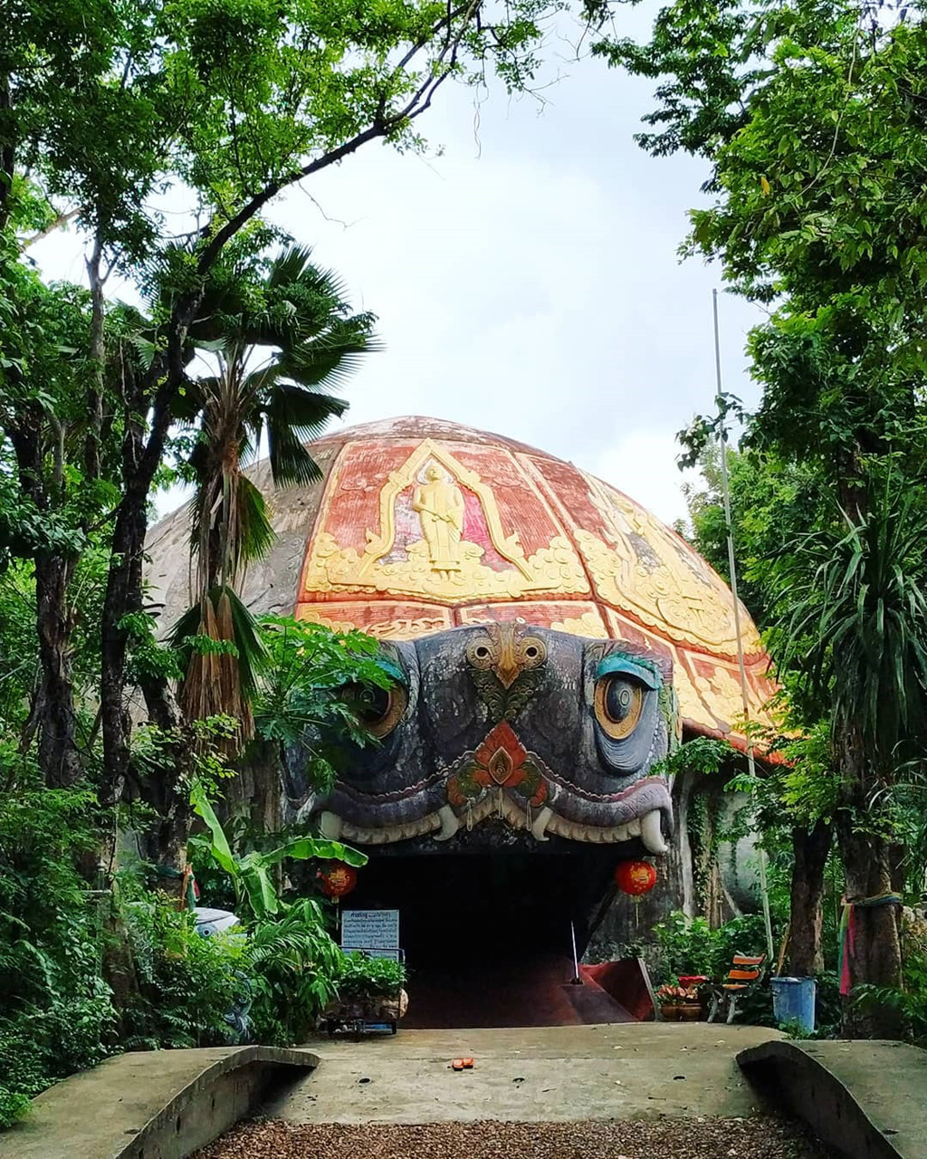 Ảnh: Caylarichmond, Moumitamaity.