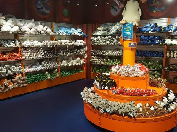 Có hẳn một quầy bán các loại quà lưu niệm cho khách tham quan Thủy Cung.