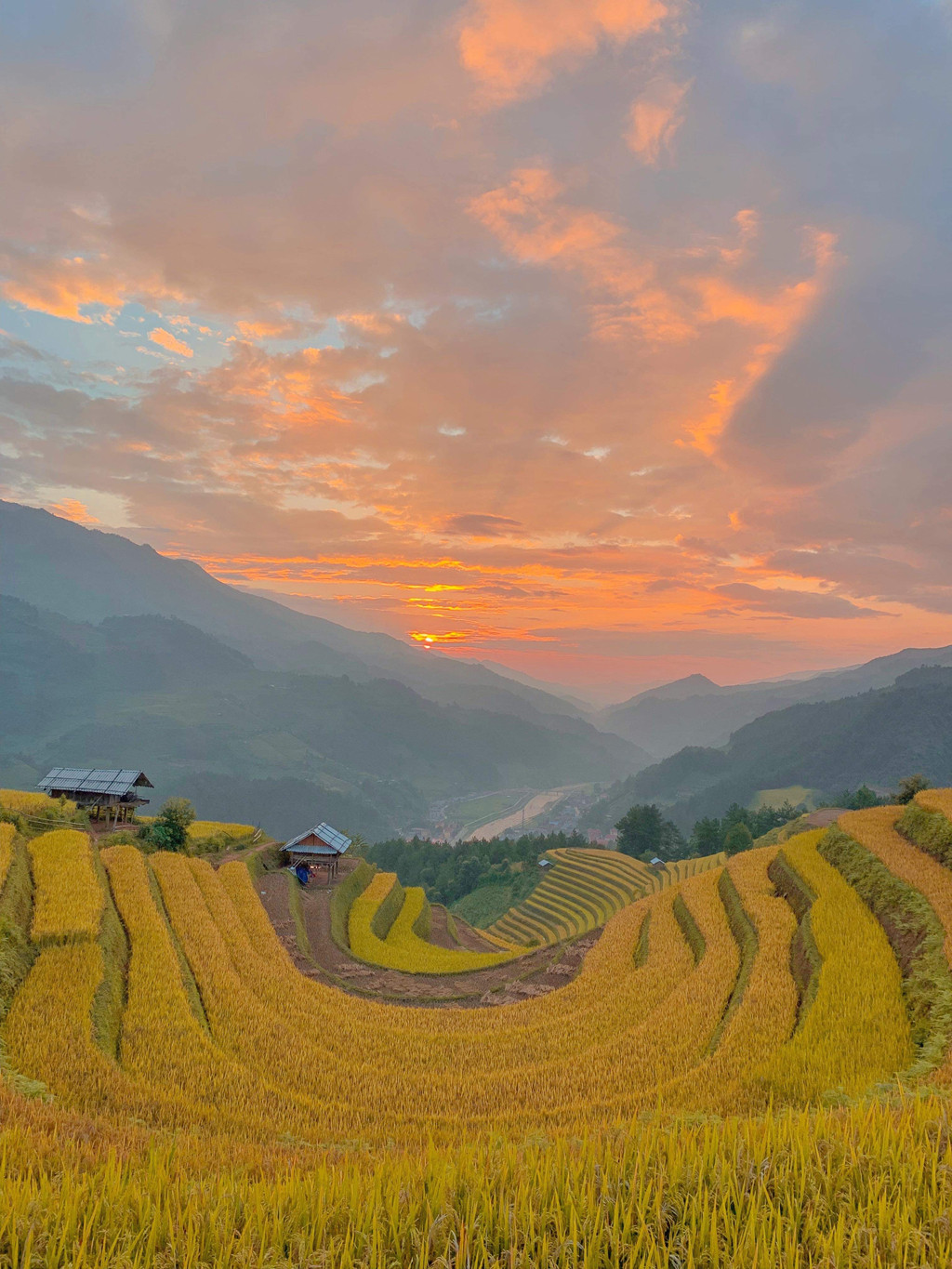 Ảnh: Phạm Lan Hương.