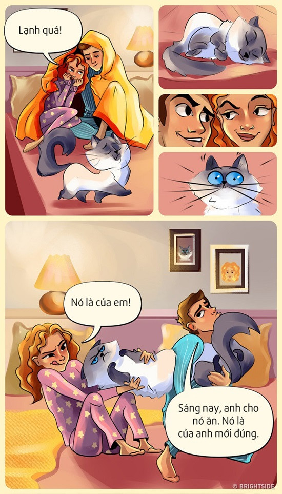 Rồi lại cố tìm kiếm đủ mọi cách để sưởi ấm.