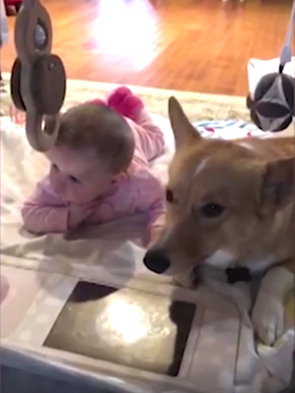 Ngủ dậy sẽ cùng nhau xem iPad...