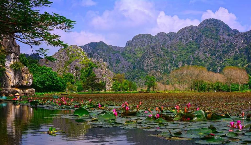 Sắc hồng bạt ngàn của hoa súng khiến ai nấy như lạc vào sông nước miền Tây.