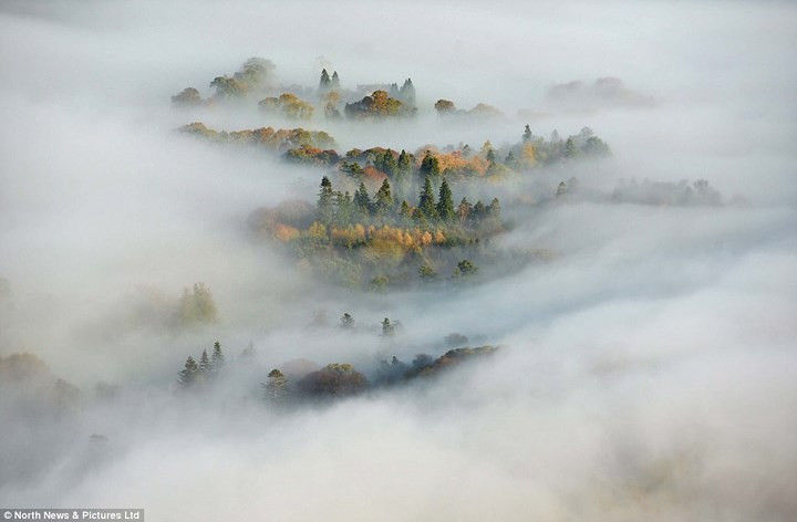 Tác phẩm “Sương Thu” của tác giả Paul Kingston.