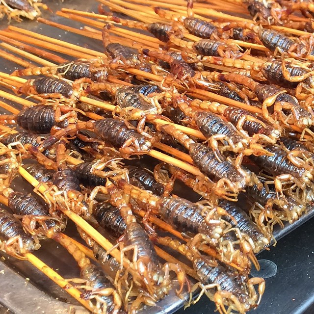 Ảnh: Jacquelinek.jagnewyork.