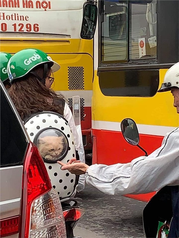 Đáng yêu thế này thì ai chẳng muốn... nựng.